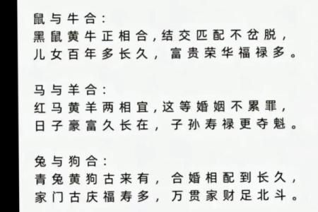 火命人最佳配对属相，揭秘完美搭档！