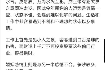 探究狗宝宝的命理与命格：缺什么、如何提升运势？