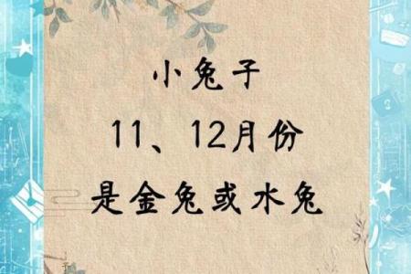 2023年12月出生的宝宝命运与性格特征解析