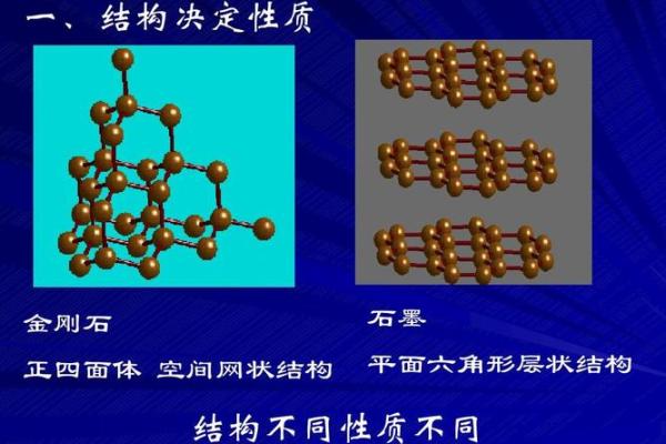 探秘命名的奥秘：结构与功能深度解析