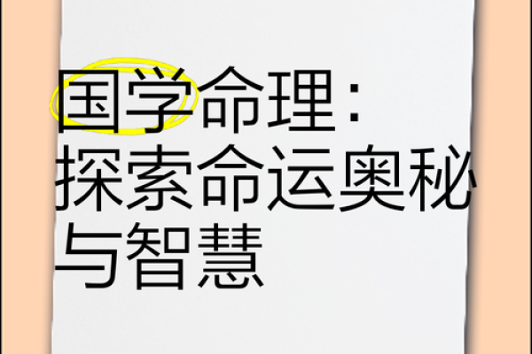 什么人什么命：探索人生命运的奥秘与解析