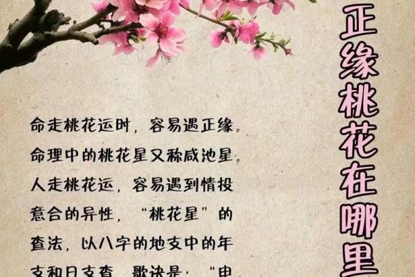 探寻命理奥秘：从四柱八字看人生的精彩轨迹