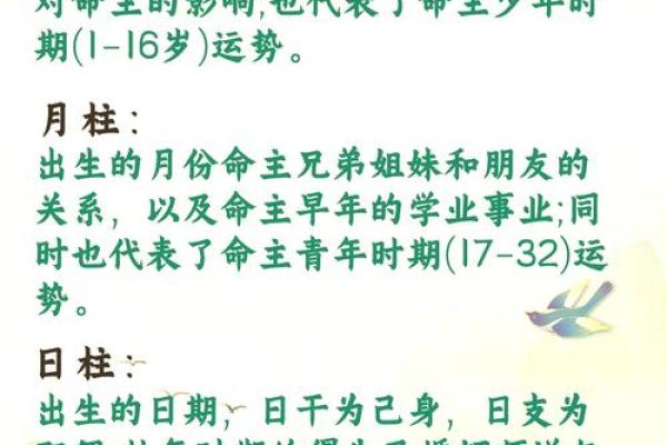 探寻命理奥秘：从四柱八字看人生的精彩轨迹