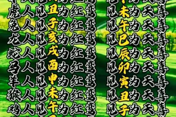 1963年：兔年命运与人生智慧的探寻
