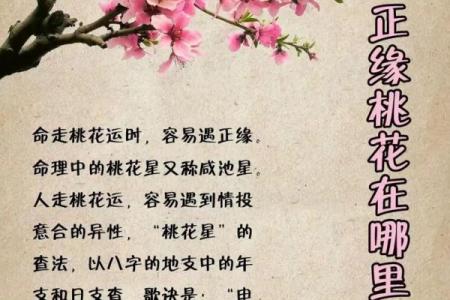 探寻命理奥秘：从四柱八字看人生的精彩轨迹