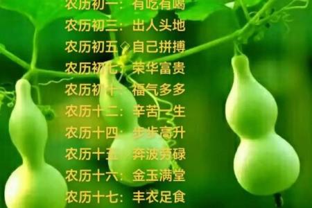 了解你的农历生日，探寻命理与生活的奥秘！