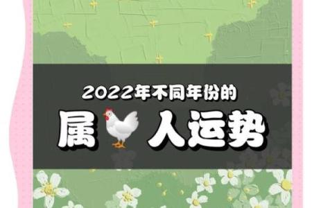 探秘2017年属鸡人的命运与财运，揭开隐藏的运势密码！