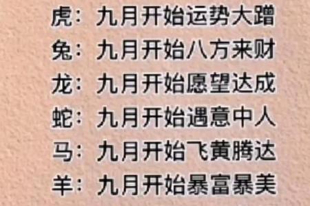 22岁属什么生肖与命运的深度解析