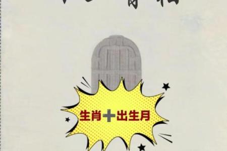 揭秘上等富贵命人的特征与养成之道