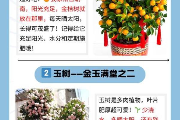 金命的人适合种什么树？探索最佳选择解析