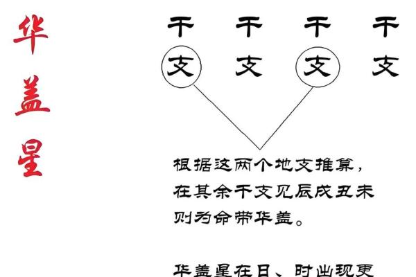 命运的多面性：探讨“命”字的不同含义与启示
