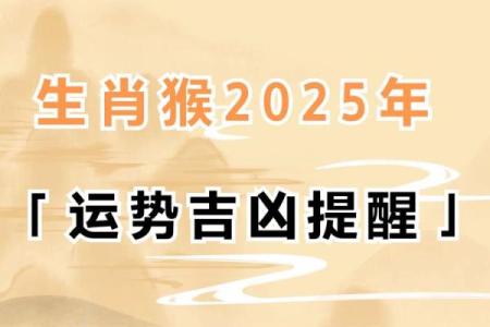 2004年属猴，揭开属于你的命运之旅！
