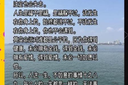 从命运到命关：探索与命相关的成语智慧