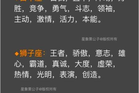 探秘星座命格男孩：星空下的个性与运势