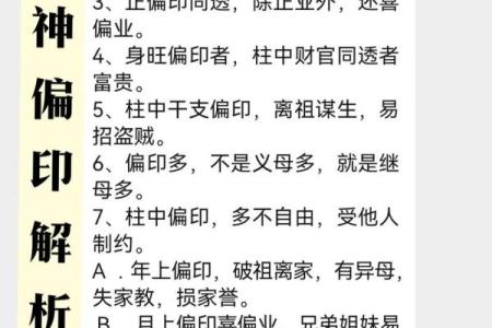 甲寅癸酉乙卯命的命理解析与生活智慧