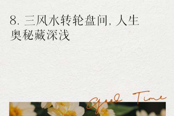 探寻命运的奥秘：命、运与人生的奇妙交织