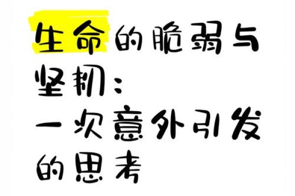 山头火烛蜡火：探寻生命的脆弱与坚韧