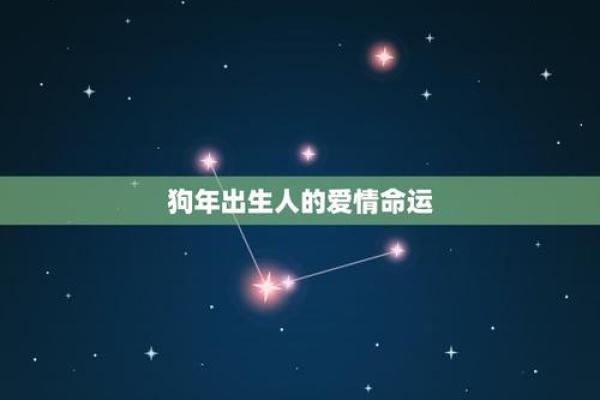 1970年狗年出生的人命运解析：性格、事业与爱情的深度剖析
