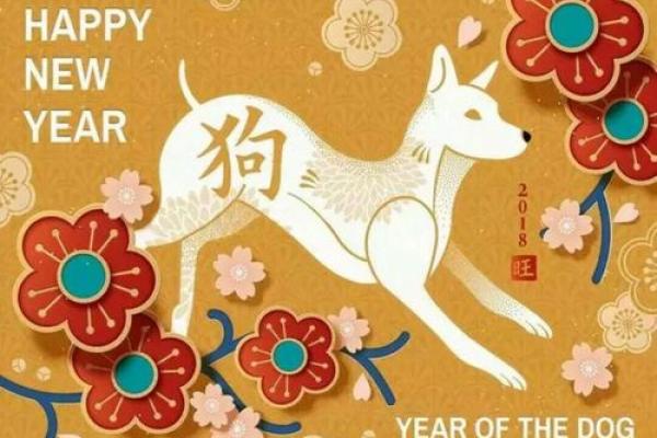 1970年狗年出生的人命运解析：性格、事业与爱情的深度剖析