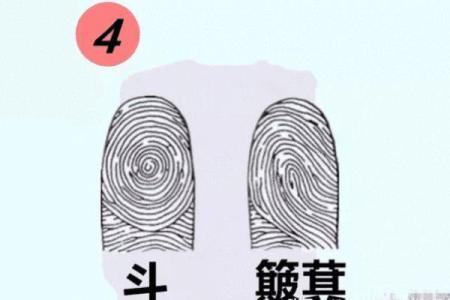 手上没有斗的人，命运何去何从？