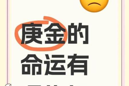 揭开30岁属狗人的土命之谜：命理与人生的完美结合