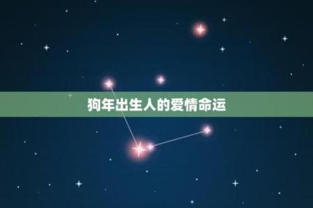 1970年狗年出生的人命运解析：性格、事业与爱情的深度剖析