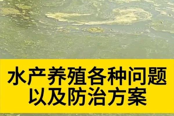 适合水产养殖的命理解析，助你开启丰收之路！