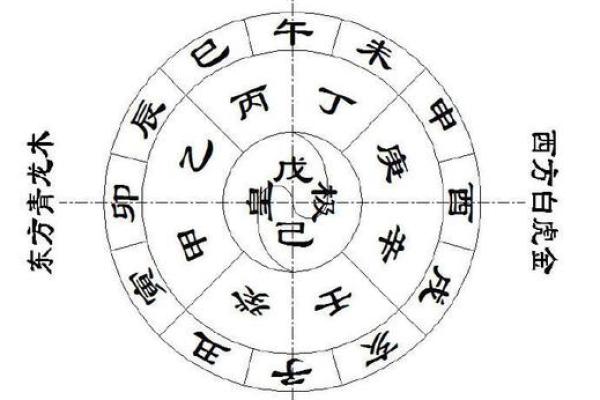 辛丑与甲寅命理解析：无畏风云，逆势而行的命运之旅