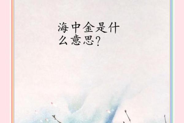海中金命人的幸运饰品与佩戴指南