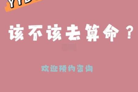 算卦巴结命解读：命运与机遇的另类对话