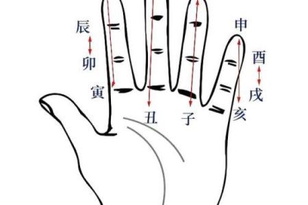 探索1984五行命理与人生成就的微妙关系