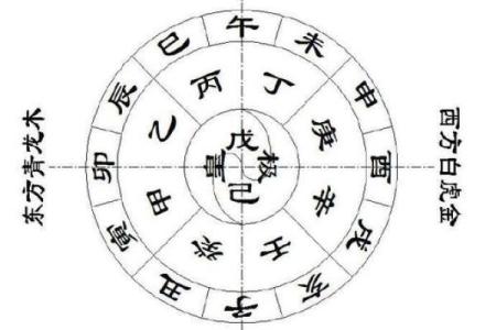 辛丑与甲寅命理解析：无畏风云，逆势而行的命运之旅