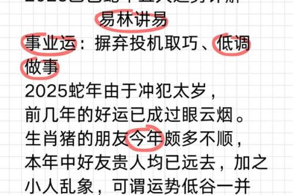 92年属猪命理解析：探秘属猪人的性格与运势