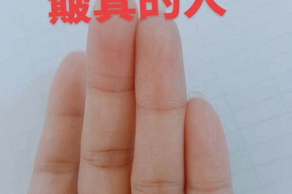 探秘九簸箕男人的命运与特点：神秘、独特而魅力无限
