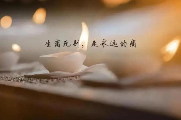没有什么命别做什么梦，追求梦想的真实意义