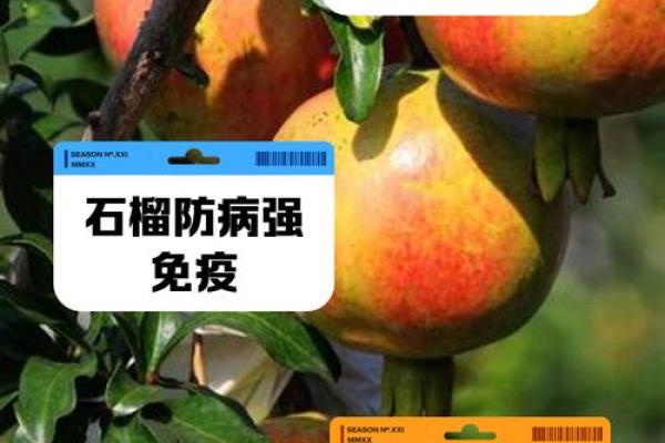 石榴木命的神秘属性与生活中的应用探讨