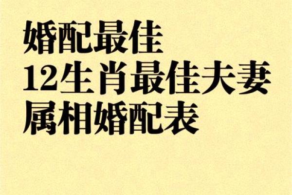 1996年出生的命男婚配指南：如何找到命中注定的另一半？