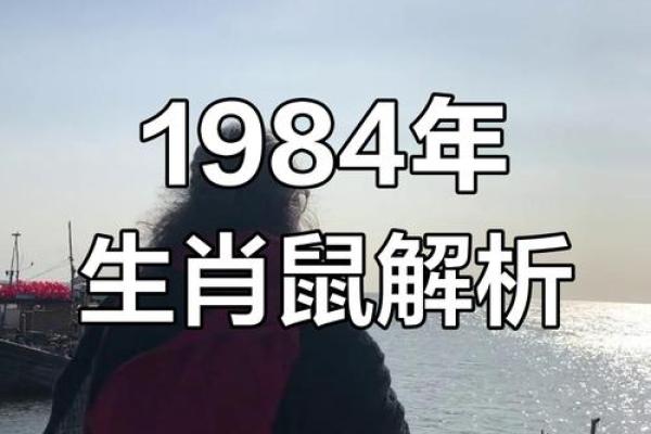 1972年出生的鼠命人：命运的启示与人生的智慧