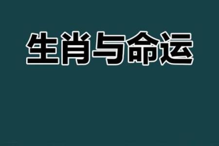 天生贵命的生肖，揭开神秘面纱！