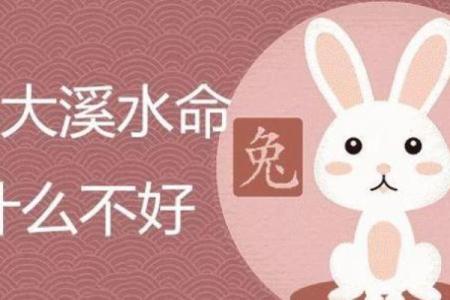 2004年出生者的水命特征与未来发展潜力探索