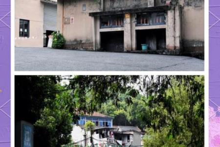1994年：甲午之年，繁荣与变革的璀璨交汇点