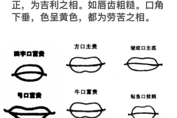 揭秘富贵命的嘴巴特征，让你找到命运的钥匙！