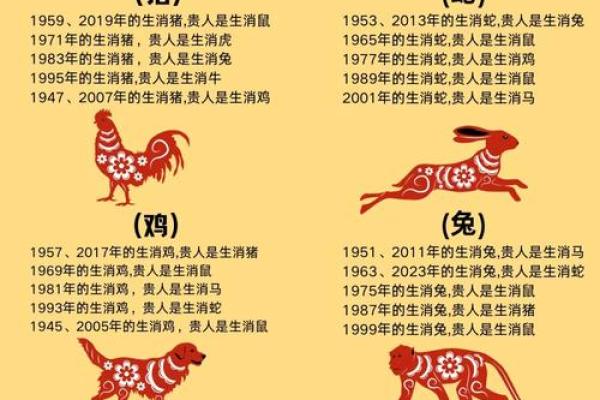 水鼠命理：揭示水鼠之命不能佩戴的物品与命运的秘密