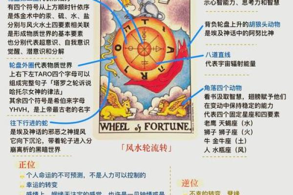 算命中你命里带什么？探寻命运的秘密与人生的方向