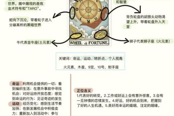 2005年：属于什么命的年份与命运的奥秘