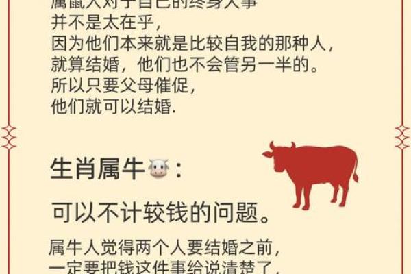 嫁给属猪的是什么命？揭示婚姻真谛与幸福密码！