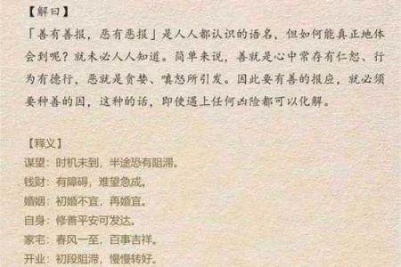 揭开命运之谜：解读命运通的智慧与启示