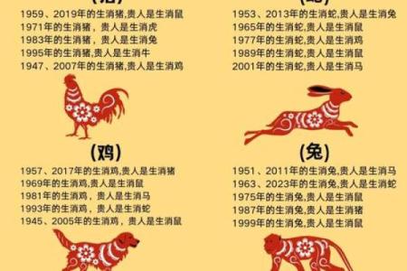 水鼠命理：揭示水鼠之命不能佩戴的物品与命运的秘密