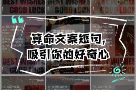 算命中你命里带什么？探寻命运的秘密与人生的方向