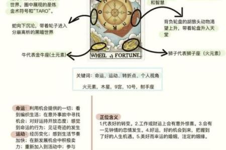 2005年：属于什么命的年份与命运的奥秘